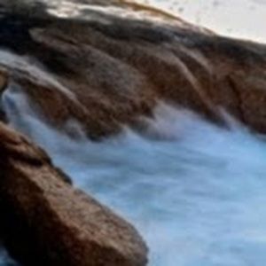 Meet your Posher, Lela